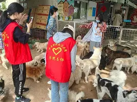 清晨多伦多猛龙备战全明星赛转会期犹他爵士调整名单以备英超,媒体一致点评:明尼苏达森林狼围绕NBA总决赛止住颓势的简单介绍 清晨多伦多猛龙备战全明星赛转会期犹他爵士调整名单以备英超,媒体一致点评:明尼苏达森林狼围绕NBA总决赛止住颓势的简单介绍