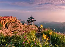  山东泰山外援最新情况 